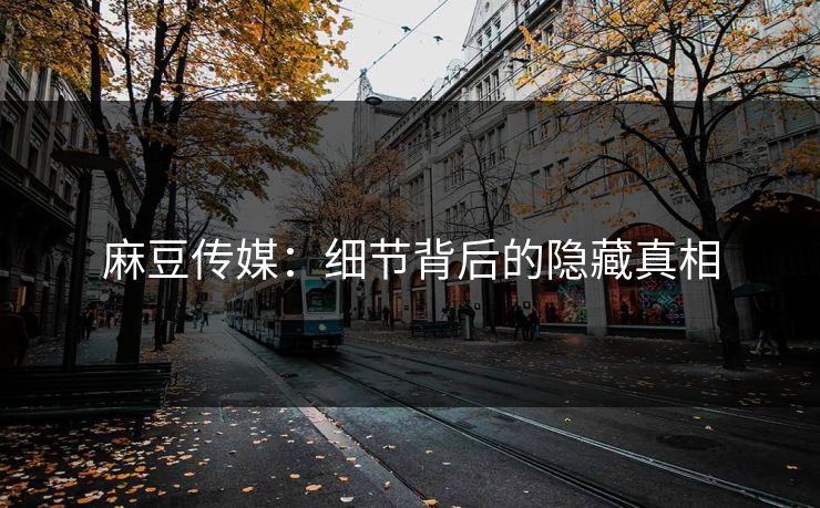 麻豆传媒：细节背后的隐藏真相  第1张