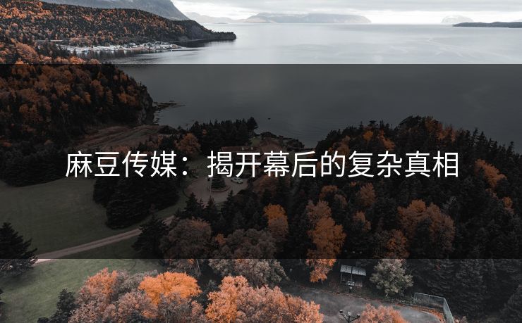 麻豆传媒：揭开幕后的复杂真相  第1张