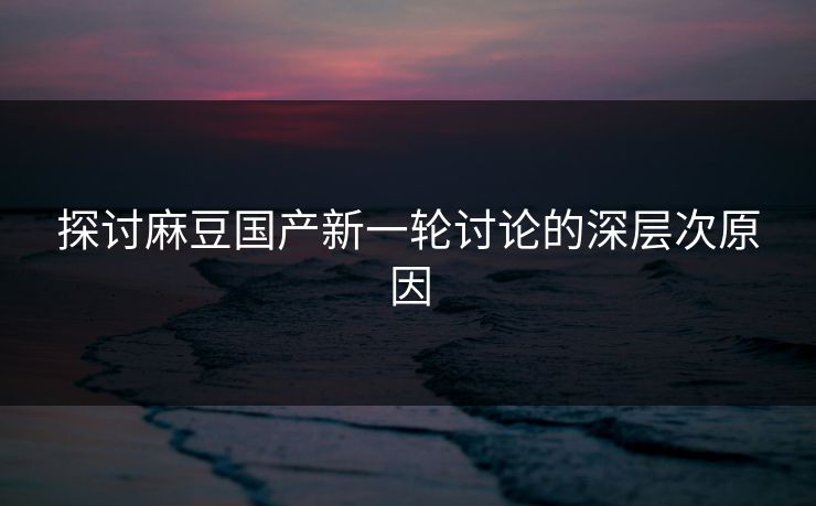 探讨麻豆国产新一轮讨论的深层次原因  第1张