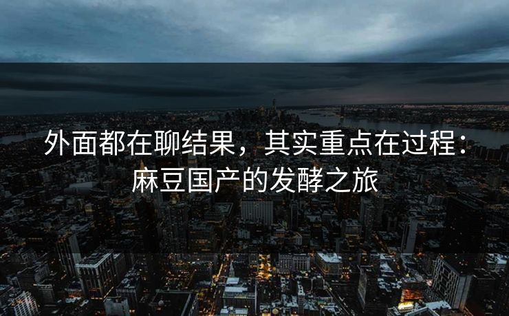 外面都在聊结果，其实重点在过程：麻豆国产的发酵之旅  第1张