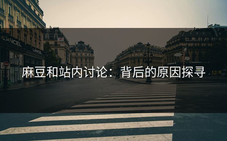 麻豆和站内讨论：背后的原因探寻  第1张