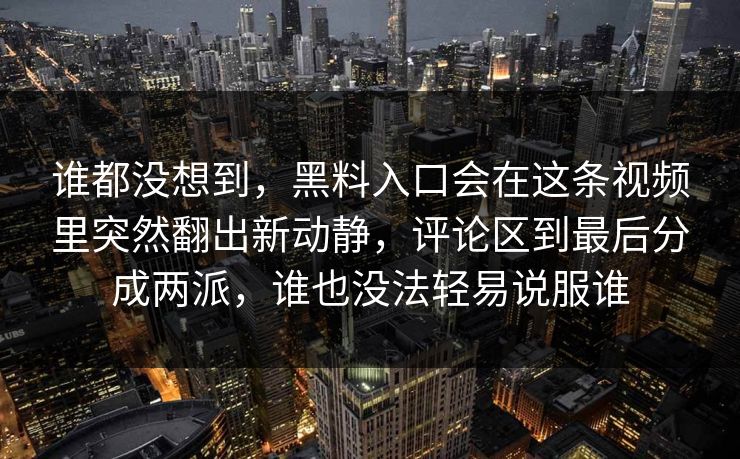 谁都没想到，黑料入口会在这条视频里突然翻出新动静，评论区到最后分成两派，谁也没法轻易说服谁  第1张