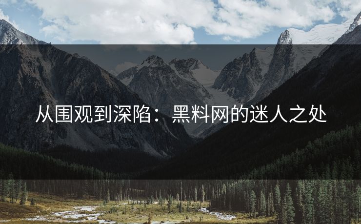 从围观到深陷:黑料网的迷人之处 第1张 从围观到深陷:黑料网的迷人之处 第1张