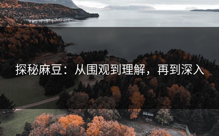 探秘麻豆:从围观到理解,再到深入 第1张 探秘麻豆:从围观到理解,再到深入 第1张